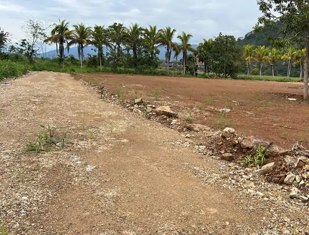 Crece con tu inversión